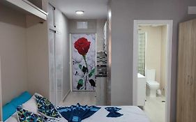 Estudio De La Rosa